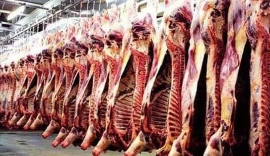 26 مليون دولار لتشييد مسلخة عصرية في توجنين بمواصفات دولية