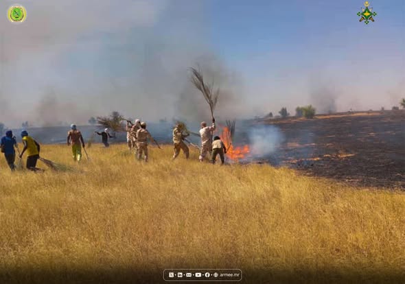 انبيكت لحواش : الجيش الوطني يسيطر على حريق غرب قرية آباگه