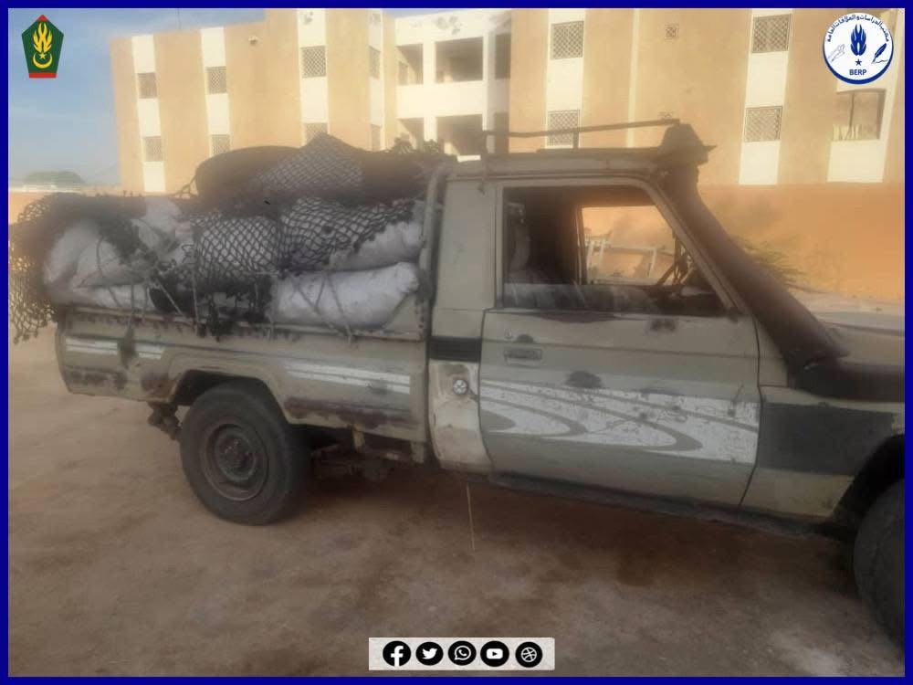 الدرك يوقف شبكة لقطع الأشجار في روصو ويصادر شحنة فحم داخل “غابة كثيفة”