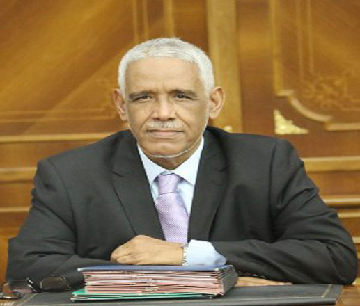 وزير العدل: سنكون النزيلات في سجن النساء الجديد