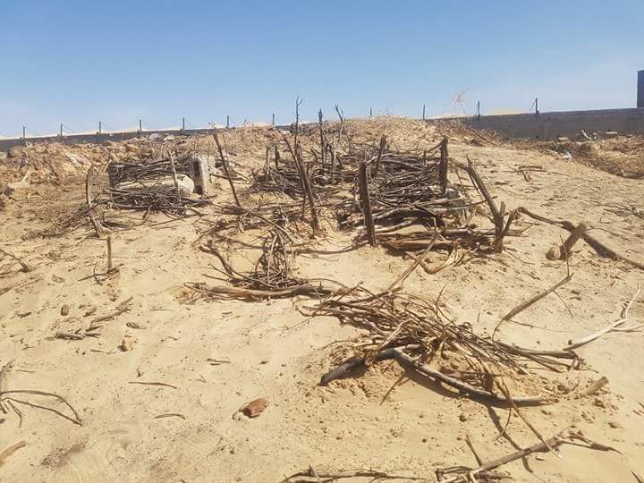 نواكشوط : غضب من جرافات تسوي تربة مقبرة