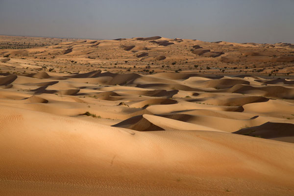 علماء يكتشفون أقدم لون في العالم بصحراء موريتانيا
