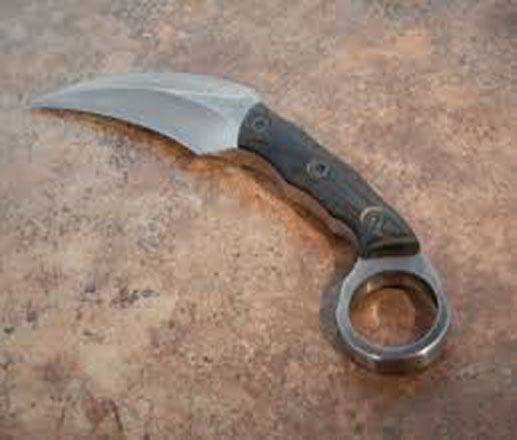 الحوض الشرقي : حاولت ذبح زوجها وفي مخفر الشرطة لا زالت مصرة على قتله